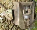 Best trail-cam strategies