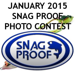 1 2015 Photo contest