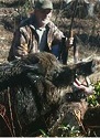 700-pound Boar Shot 2