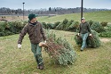 Christmas trees give W.Va. lakes a fishy boost