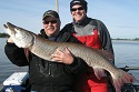 Feeding hungry hatchery muskie