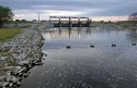 Florida's Rodman Reservoir At Risk-Again