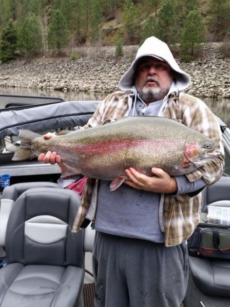 Giant Rainbow Trout Caught in N. Idaho