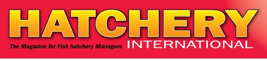Hatchery Int Logo