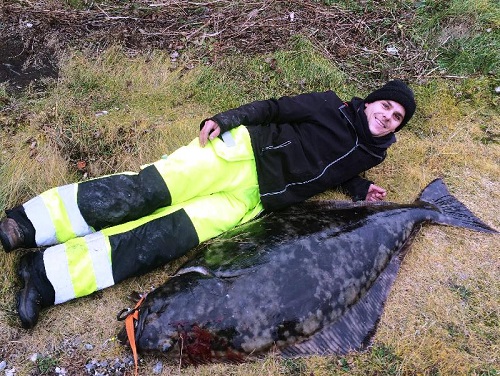 Huge Halibut from Shore 1