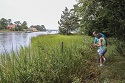 Living shorelines rising up to offset effects of higher sea levels