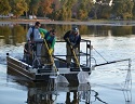 Restoring the shore and fish habitat in Michigan inland lakes