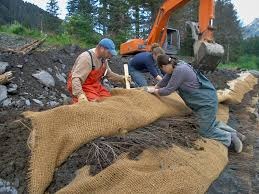 Shasta River fish habitat