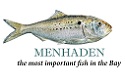 Menhaden