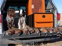 New Gun Vault and Dog Kennel Hunting System