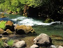 Puget Sound salmon face more ups and downs in river flows