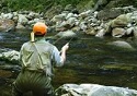 Small Stream Fishing Part 1-How to Find a Stream of Your Own