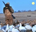 Snow Goose Destinations