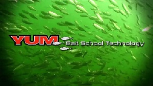 YUM bait advertisement