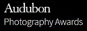 audubonphotoawards