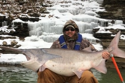 Arkansas Angler Breaks State Record with 105-pound Paddlefish