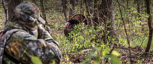 BPS SPRING TURKEY