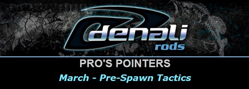 Denali Rods Pointer March