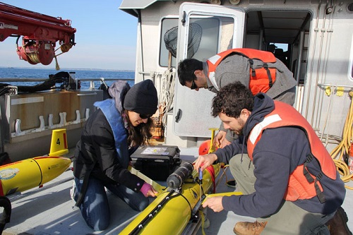 Listening for Cod in the Gulf of Maine 1