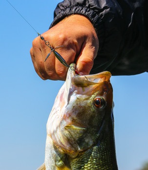Pre-Spawn Bass Are Getting Hungry at Lake Lanier by Bill Vanderford