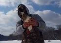 Surprise! Fisherman pulls bird (not fish) from ice