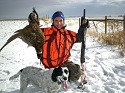 Pheasants 2