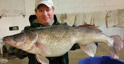 Record Setting Spring Walleye Netting Season