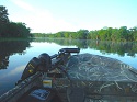 Year-round crappie on the St. Johns River