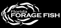 florida forage fish