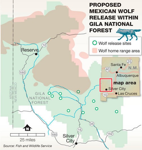 Arizona Wolf Plan
