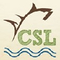 CSL Logo