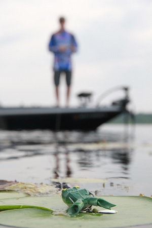 Fishing a Frog, Not Just Around Vegetation