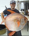 Warm Blood Makes Opah an Agile Predator 2