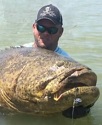 50-pound Goliath Grouper Landed By Kayak Angler 2