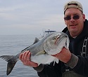 Banner Year for Bluefish 1
