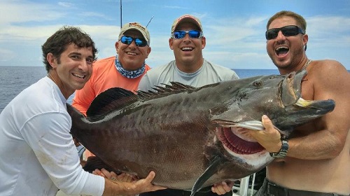 Biggest Black Grouper Ever