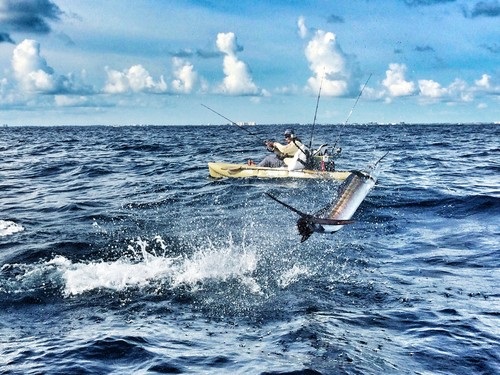 Slow Trolling for Sailfish