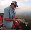 Walleye Fishing with Brand New Spinner Harness