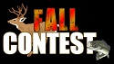 Fall Contest