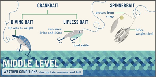 Lure Selection Simplified For Bass 3