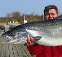Ochmann's Atlantic Salmon1