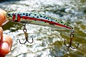 Rebel Trout Trek-Anticipated Patterns