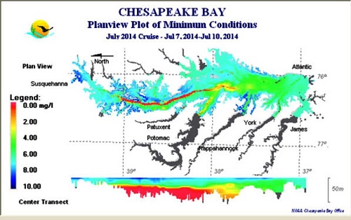 Slightly smaller dead zone predicted for Chesapeake Bay