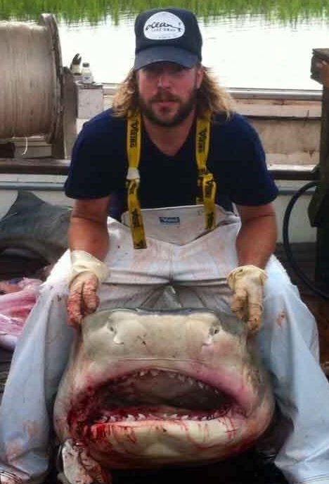 800-pound tiger shark caught in South Carolina