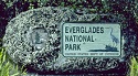Everglades National Park 4