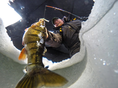 Heat and Humidity Cause Ice Fishing Relapse 1