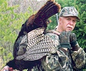 How to Use a Turkey Wing to Call Gobblers In