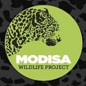 Modisa Wildlife Project
