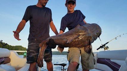 Possible 100 Pound Tennessee Flathead Catfish Reeled In 2