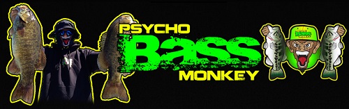 Psycho Bass Monkey Banner 1
